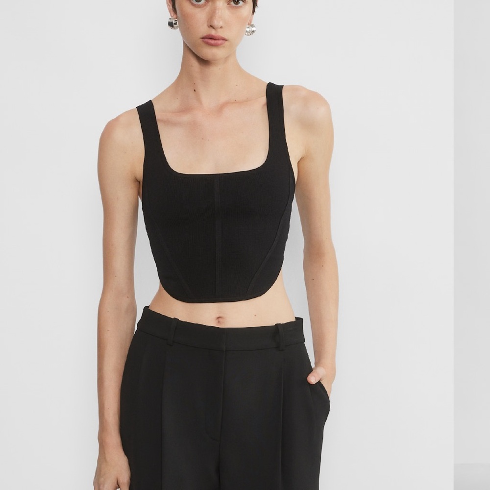 Aritzia Babaton Sculpt Knit Bustier Top